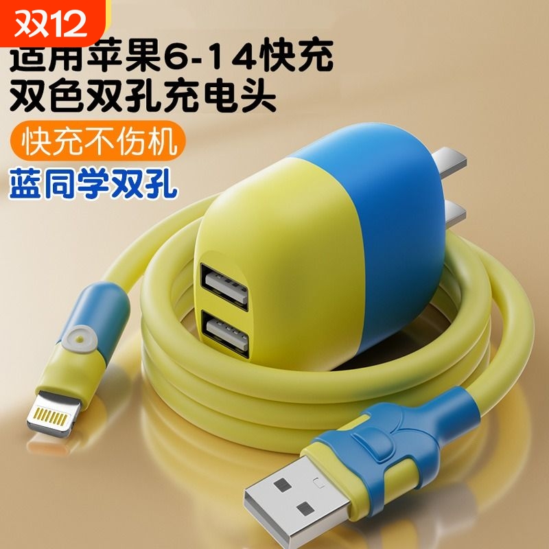 适用苹果快充IPhone14/13/12/11/xr/5/6/7/8/Xxs快充充电头双孔