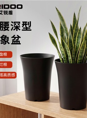 多肉花盆套装组合大口径万象盆塑料玉坠老桩中小花盆加厚种植绿植