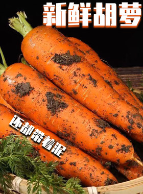 老品种胡萝卜水果萝卜新鲜蔬菜辅食红萝卜现挖带土甜脆多汁发顺丰