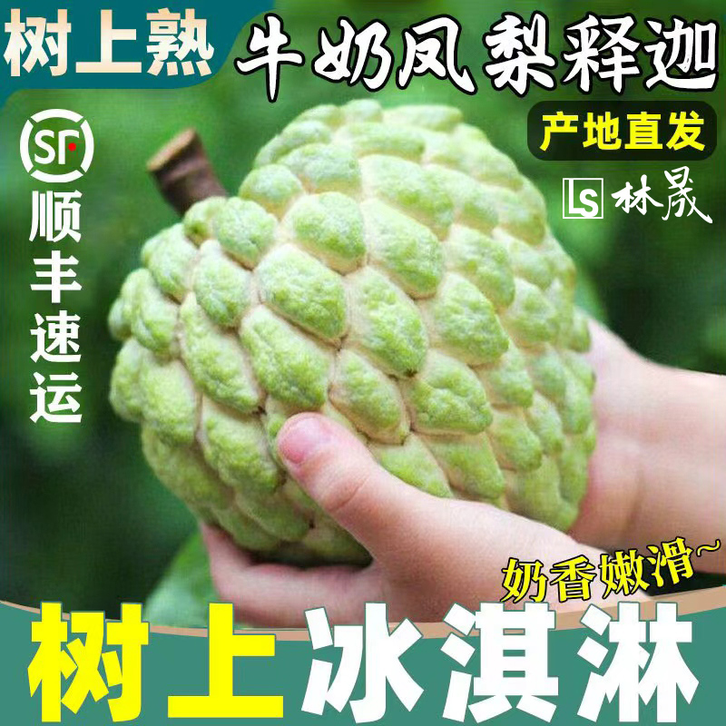 新鲜凤梨牛奶释迦果5斤大目释迦尼佛头果冰淇淋番荔枝特大果现摘