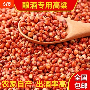 红高粱喂鸽子粮食去壳带皮鸟食信鸽观赏鸽肉鸽幼鸽成鸽粮饲料