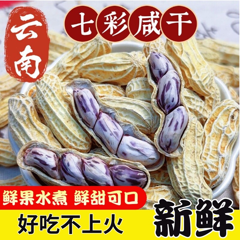 2025新货七彩花生云南普七彩洱晒干五彩花生生带壳熟花生零食