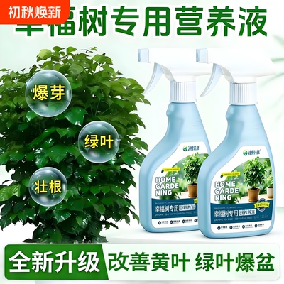 幸福树专用肥料营养液盆栽叶子干枯落叶黄叶氮磷钾植物元素园艺