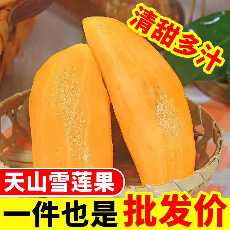 云南特产雪莲果新鲜当季现挖红心云南天山雪莲果果实整箱包邮农场