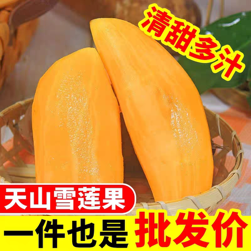 云南特产雪莲果新鲜当季现挖红心云南天山雪莲果果实整箱包邮农场