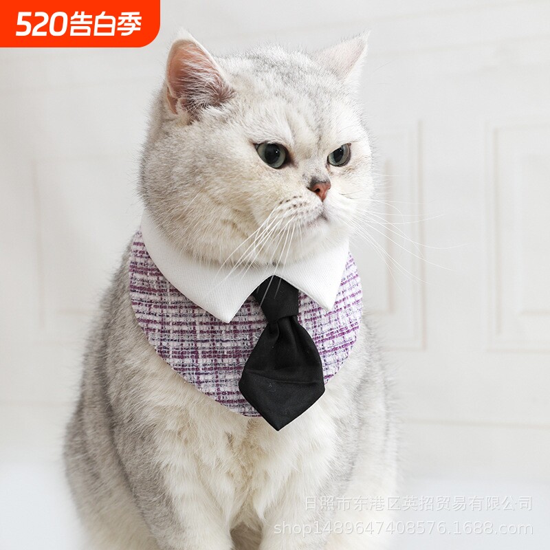 国潮绅士服宠物饰品猫咪蝴蝶结围脖英短帅气西服假领项圈狗狗围兜