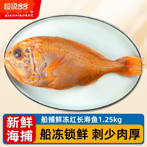 千牛农长寿鱼深海整条寿宴食材