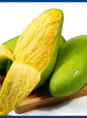 当季应季新鲜无丝芒果芒果应季整箱脆甜孕妇水果清香水果包邮