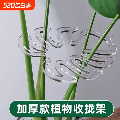 龟背竹防倒伏支架|超2000次加购