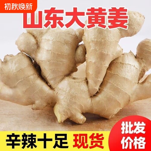 山东大姜优质生姜新鲜包邮