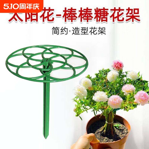 太阳花棒棒糖单层多层支撑爬藤