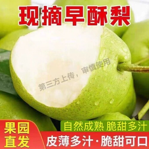 头茬陕西早酥梨青皮脆梨当季新鲜水果梨子小香梨果肉脆甜酥脆现摘