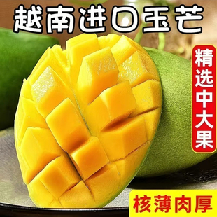 越南玉芒新鲜水果3斤起青皮薄皮芒果清甜水润非金煌芒果多规格