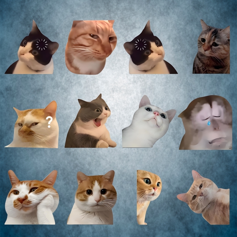 迷因MEME猫猫汽车贴纸