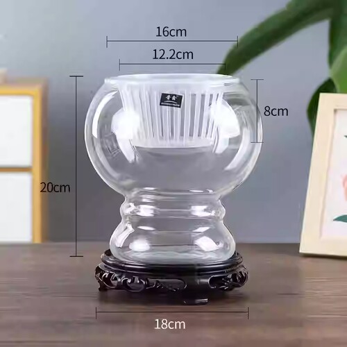 玻璃水培绿植花瓶|超2000次加购