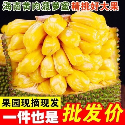 海南黄肉菠萝蜜新鲜水果当季新鲜菠萝蜜果肉饱满鲜果切脆甜