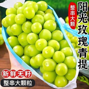 正宗晴王阳光玫瑰葡萄脆甜无籽老少皆宜香印提子青提新鲜水果整箱