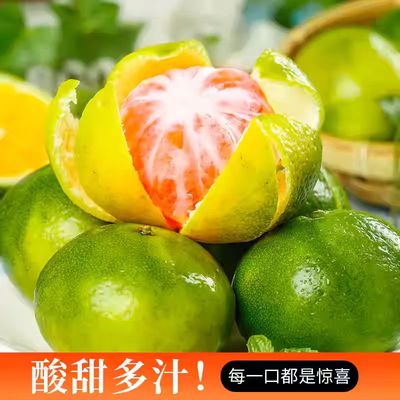 头茬现货云南蜜桔新鲜现摘现发青皮橘子蜜橘柑橘酸桔新鲜