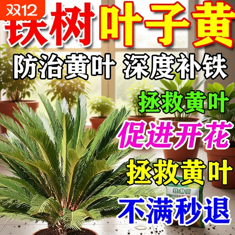 铁树专用肥料叶子发黄烂根促发芽助增长复活液硫酸亚铁专用营养液