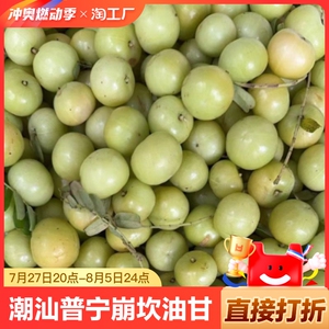 潮汕普宁崩坎油甘新鲜油甘果牛甘果余甘果滇橄榄油柑榨汁泡酒腌制