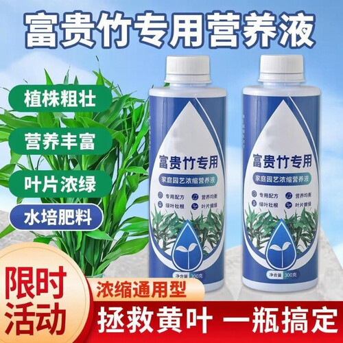 富贵竹专用营养液促生根治黄叶
