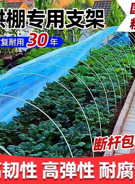 新型小拱棚支架实心玻璃纤维杆棒大棚塑料养殖骨架农家用菜棚支架
