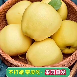 黄元帅苹果新鲜水果9斤黄金帅当季粉面苹果黄蕉黄苹果整箱10