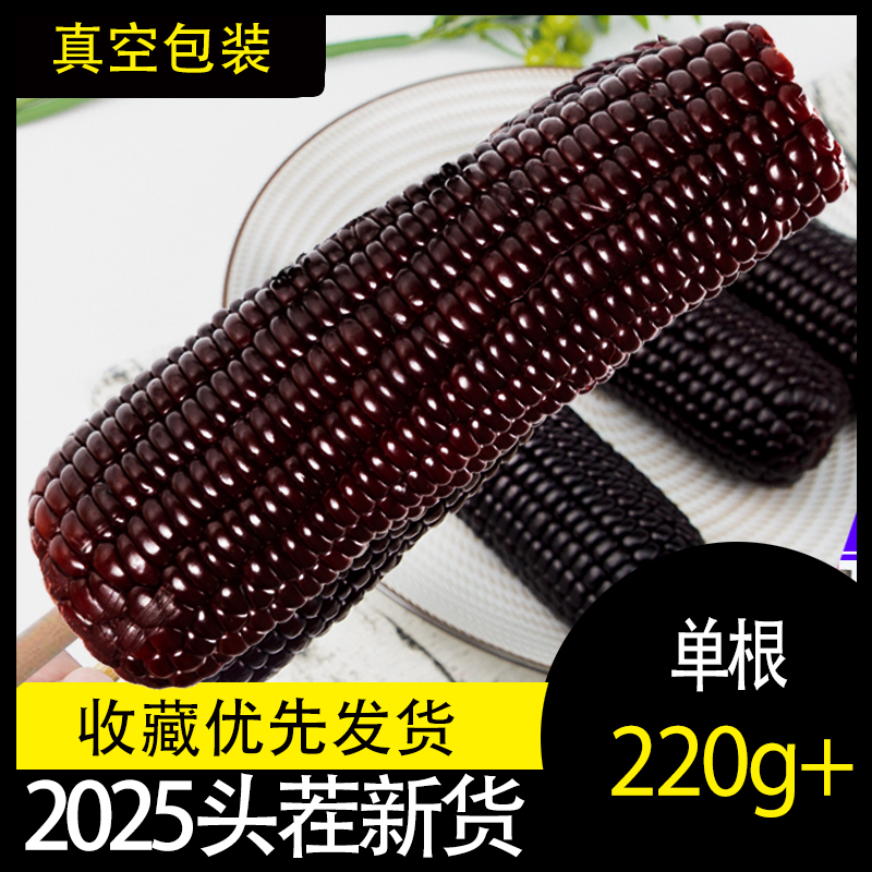 黑色糯玉米新鲜现摘黑紫鲜玉米代餐黑糯玉米黑玉米棒东北黑糯玉米