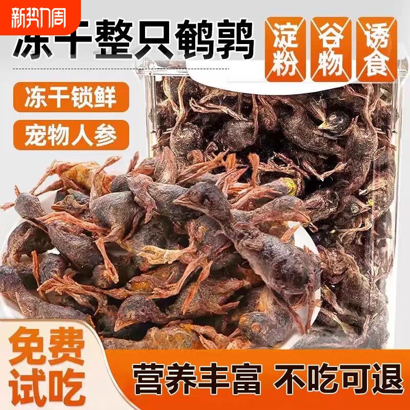 冻干鹌鹑猫咪宠物狗零食增肥发腮零食冻干粮生骨肉小鹌鹑猫咪零食