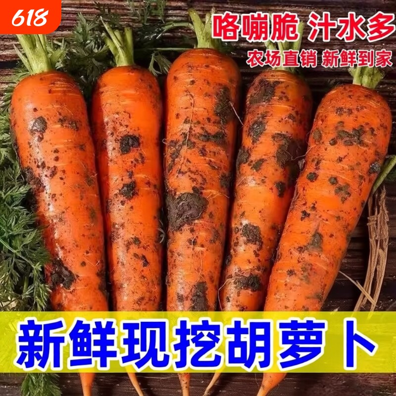 胡萝卜新鲜农家自种河南蔬菜水果可生吃即食甜脆宝宝辅食9斤批发