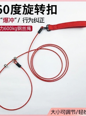 狗狗牵引绳狗绳防爆冲p绳p链大小型犬狗链子防咬遛狗钢丝赛级大狗