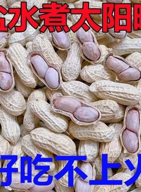水煮花生龙岩花生蒜香味花生水煮花生晒干咸干花生五香花生熟花生