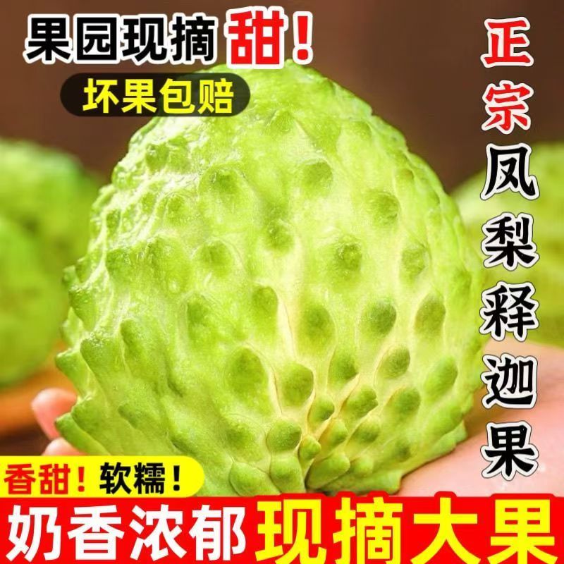 攀枝花牛奶凤梨释迦果新鲜番荔枝鲜水果老树现摘香甜奶香产地直发