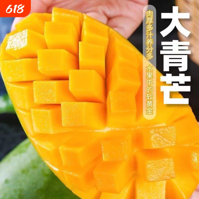 正宗大青芒果新鲜水果批发价整箱云南应季超大果产地直发黄金客服
