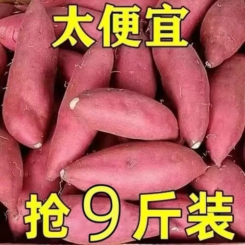 新鲜蜜薯9斤板栗红薯沙地糖心地瓜农家自种番薯板栗薯山芋甜蜜