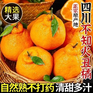 丑橘不知火正宗四川新鲜应季现摘现发柑橘桔子整箱包邮