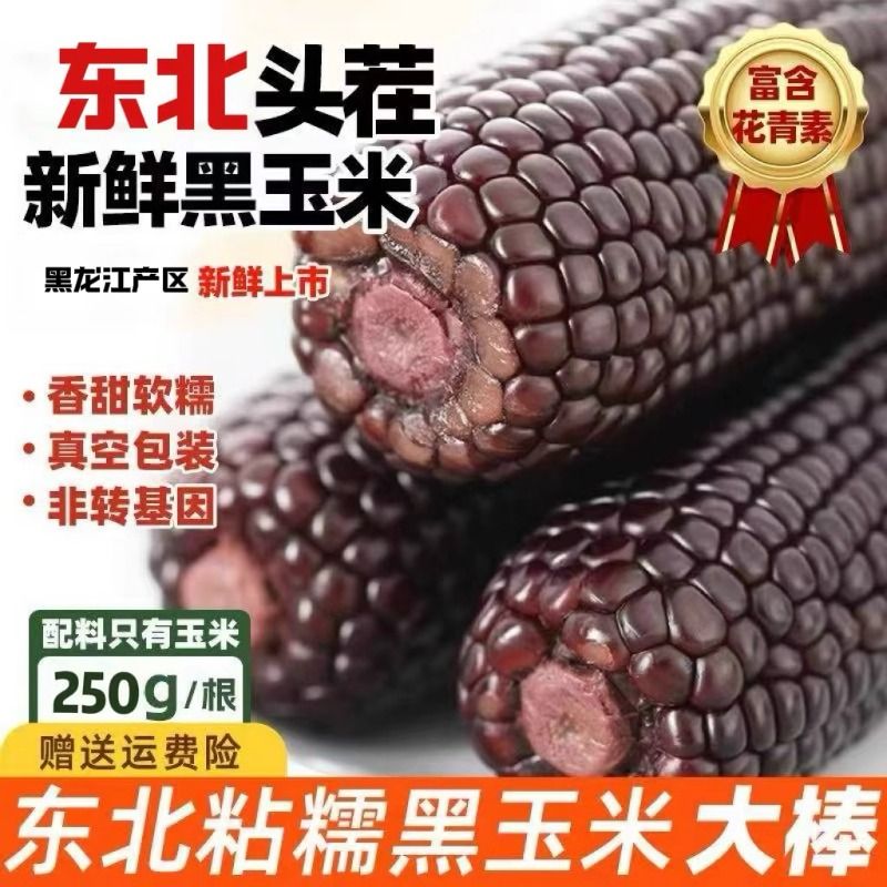 2025东北黑糯玉米新鲜甜黑玉米加热即食真空装袋黏粘苞米代早餐
