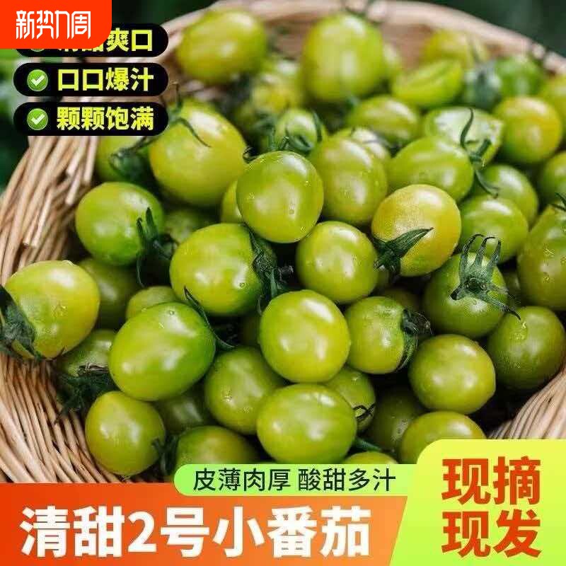 寿光青甜小番茄清甜爽口京东发快递包邮小番茄产地直发包邮小番茄