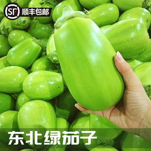发顺丰新鲜大绿茄子特产青茄子新鲜蔬菜农家自种包邮绿圆茄多规格