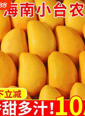 芒果新鲜现摘当季海南大台芒热带水果正宗薄皮超甜大果台农芒
