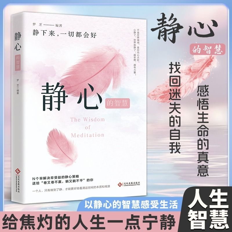 东方文澜静心的智慧现货速发