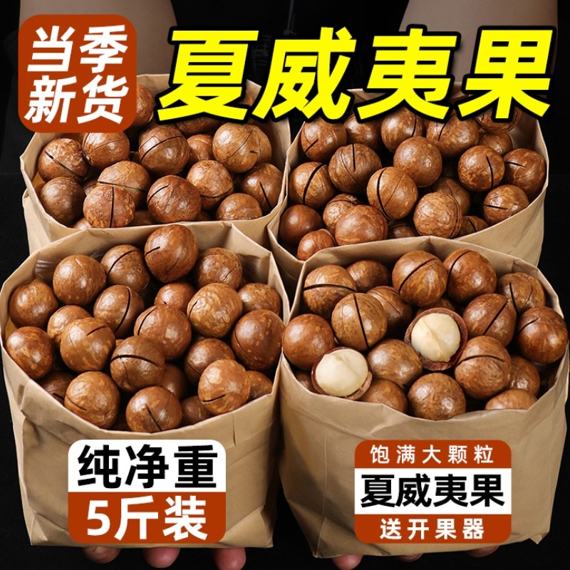 2025年新货夏威夷果坚果整箱5斤大颗粒奶油味年货批发休闲旗舰店