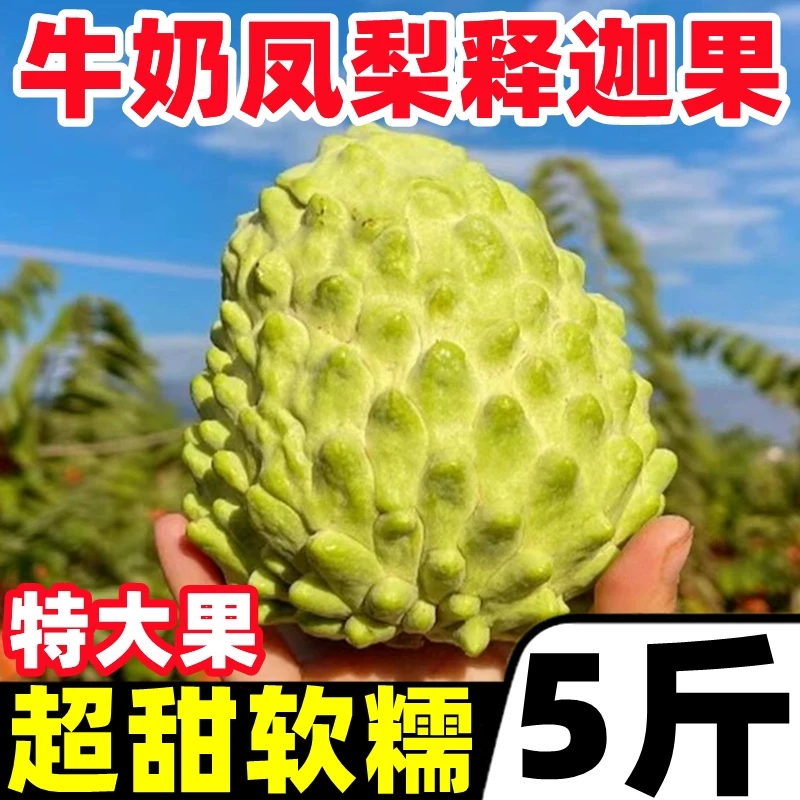 云南高原新鲜牛奶凤梨释迦林檎番荔枝千亩基地摩尼果当季新鲜水果