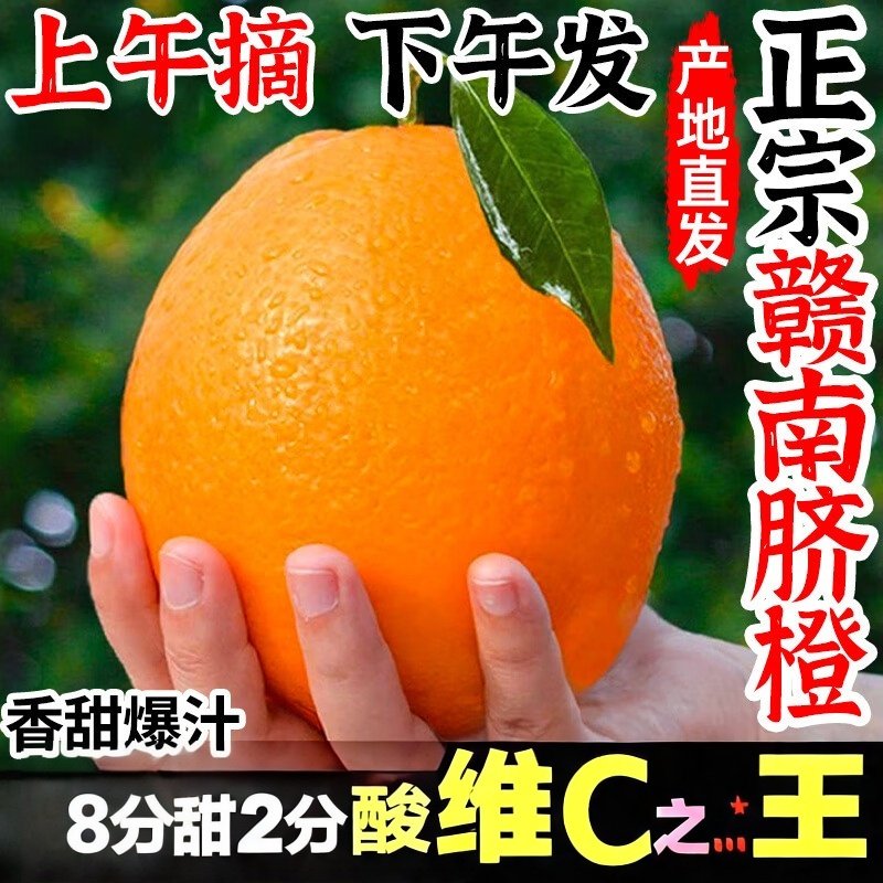 江西赣南脐橙橙子新鲜水果当季正宗精品赣州橙子产地直发整箱包邮,水产肉类/新鲜蔬果/熟食,橙,淘宝优惠券,粉丝福利购,淘宝优惠卷