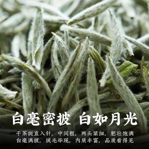 福鼎高山2026年白茶春季明前头采新茶白毫银针米针毫香散茶250g