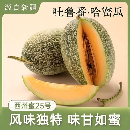 正宗新疆哈密瓜西州蜜25号新鲜水果应当季网纹吐鲁番甜瓜整箱包邮