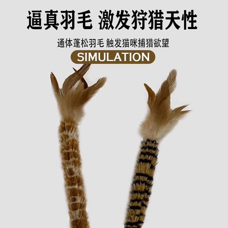 逗猫棒山鸡毛鸟毛仿真羽毛麻绳手柄猫咪自嗨解闷消耗体力宠物用品,宠物/宠物食品及用品,逗猫棒,淘宝优惠券,粉丝福利购,淘宝优惠卷