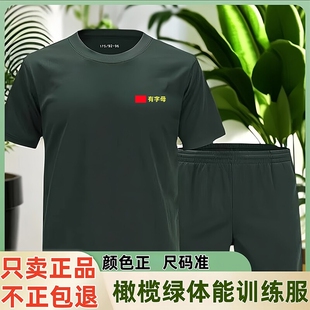 体能服短袖 原厂套装 短裤 夏运动上衣t恤男橄榄绿 体能训练服正品