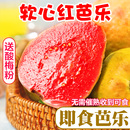 福建漳州红心芭乐果新鲜水果当季 鲜果番石榴 应季