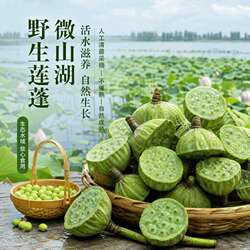 微山湖新鲜嫩莲蓬带衣莲子米当季现摘带芯莲子可生吃水果微甜不苦